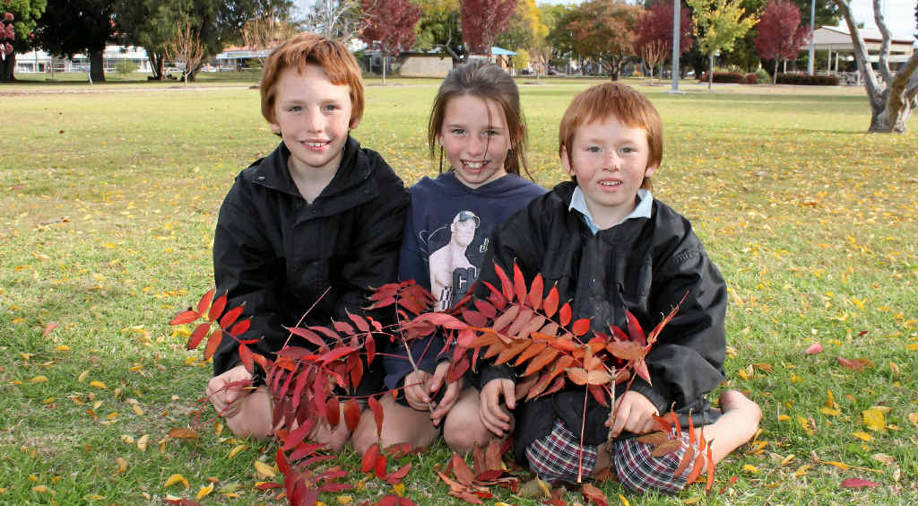 For Brandon, 8, Emily, 7, and Liam Parry, 5, an excess of autumn leaves is a tell-tale sign the full onset of winter is not too far away.